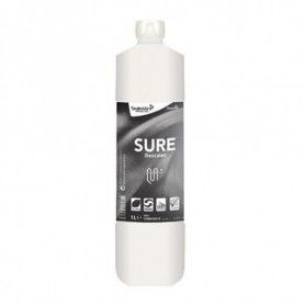DESINCRUSTANTE NATURAL SURE... 2