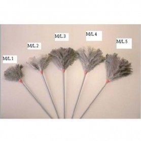 PLUMERO AVESTRUZ KORONIS...