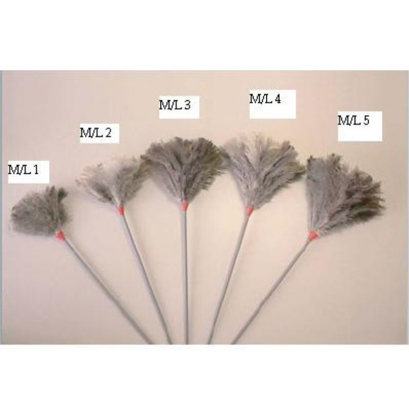 PLUMERO AVESTRUZ KORONIS M/L Nº4