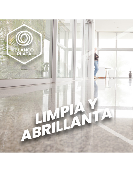 FREGASUELOS SECA-RÁPIDO VIOLETA BLANCOPLATA 1L