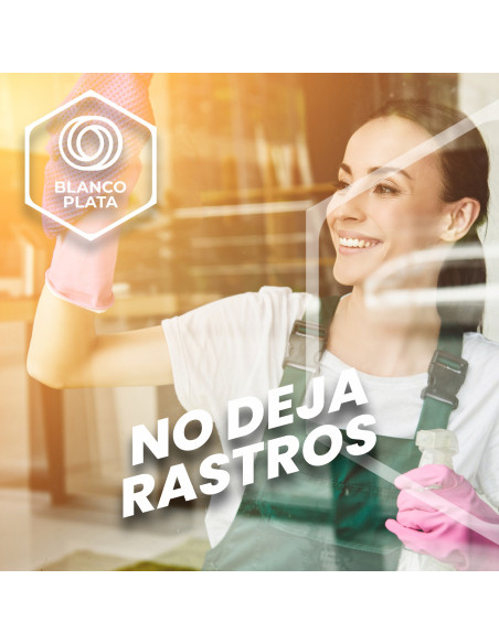 LIMPIACRISTALES MULTIUSOS 2 EN 1 BLANCOPLATA 5L