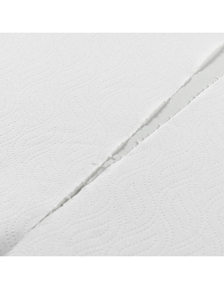 BOBINA SECAMANOS 130M 2 CAPAS LAMINADA PASTA PURA BLANCOPLATA 6 UNIDADES