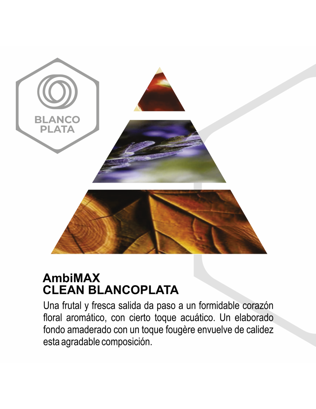 RECAMBIO AMBIMAX FRAGANCIA CLEAN PLUS...