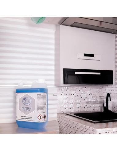 LAVAVAJILLAS MANUAL DENSO-CONCENTRADO...