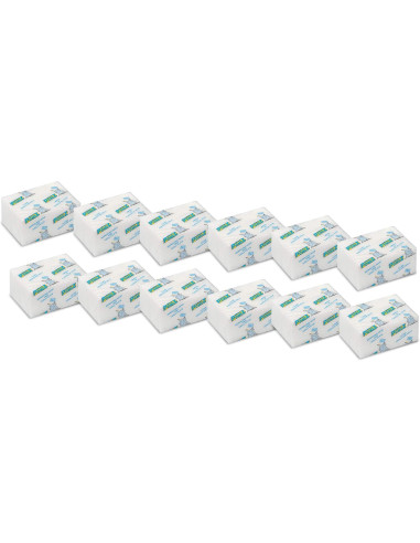 MISTER POMEZ ESTUCHE 12 UNIDADES