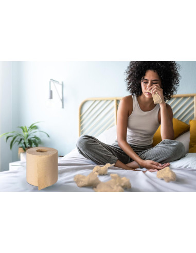 RECAMBIO SERVILLETAS SOFTNAP NATURAL...