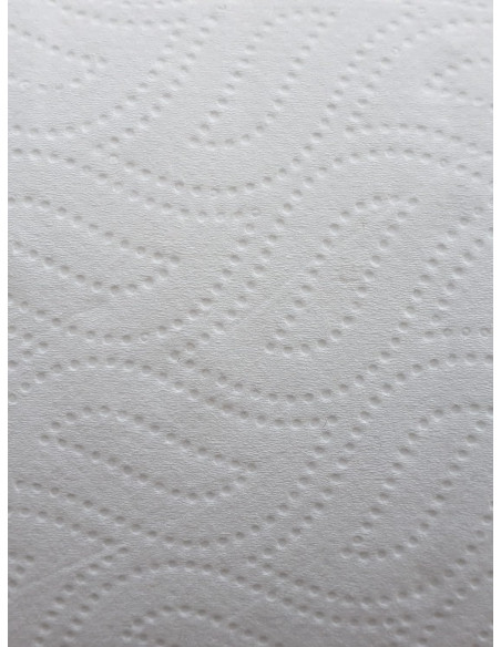 PAPEL WC.IND.100M 2C LAMI.P/P BLANCOPLATA(18u.)