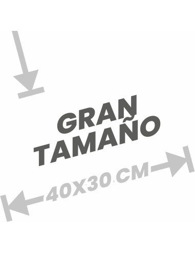 BAYETA MICROFIBRA AZUL...