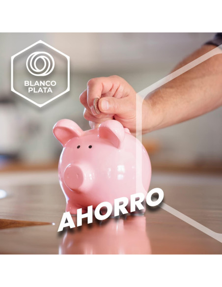 LIMPIADOR BAÑOS SIN LEJÍA 1L BLANCOPLATA