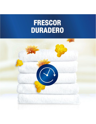 Lenor Professional, Suavizante Ropa y...