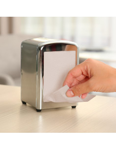 SERVILLETA MINISERVIS 17x17... 2