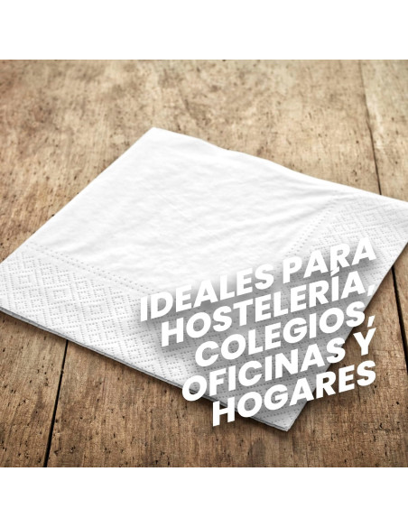 SERVILLETAS CELULOSA BLANCOPLATA 30X30 2C 4800 UNIDADES