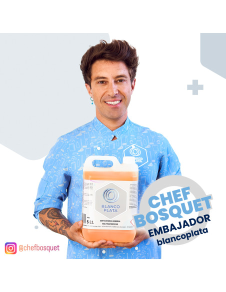QUITAGRASAS GENERAL MULTISUPERFICIES BLANCOPLATA  5L