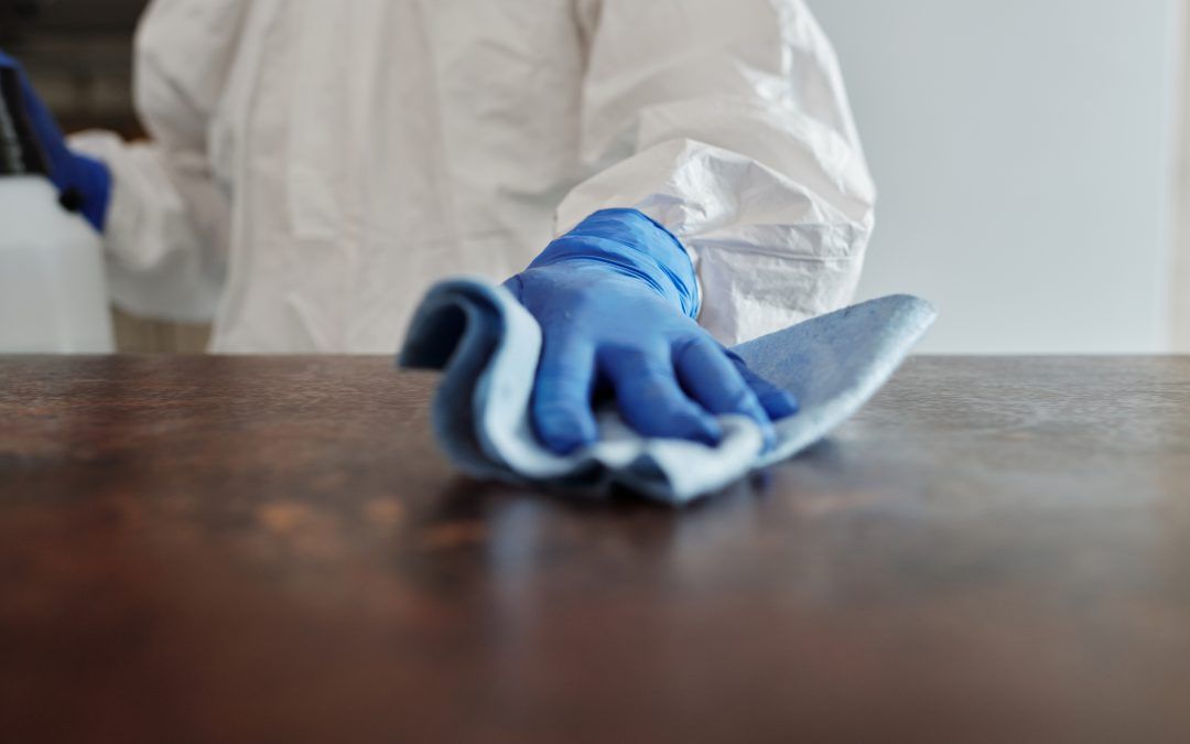 DESINFECTANTES RECOMENDADOS POR EL MINISTERIO DE SANIDAD